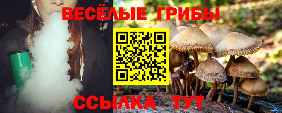 Аксай  Галлюциногенные грибы прущие грибы  цены   Вход с VPN 